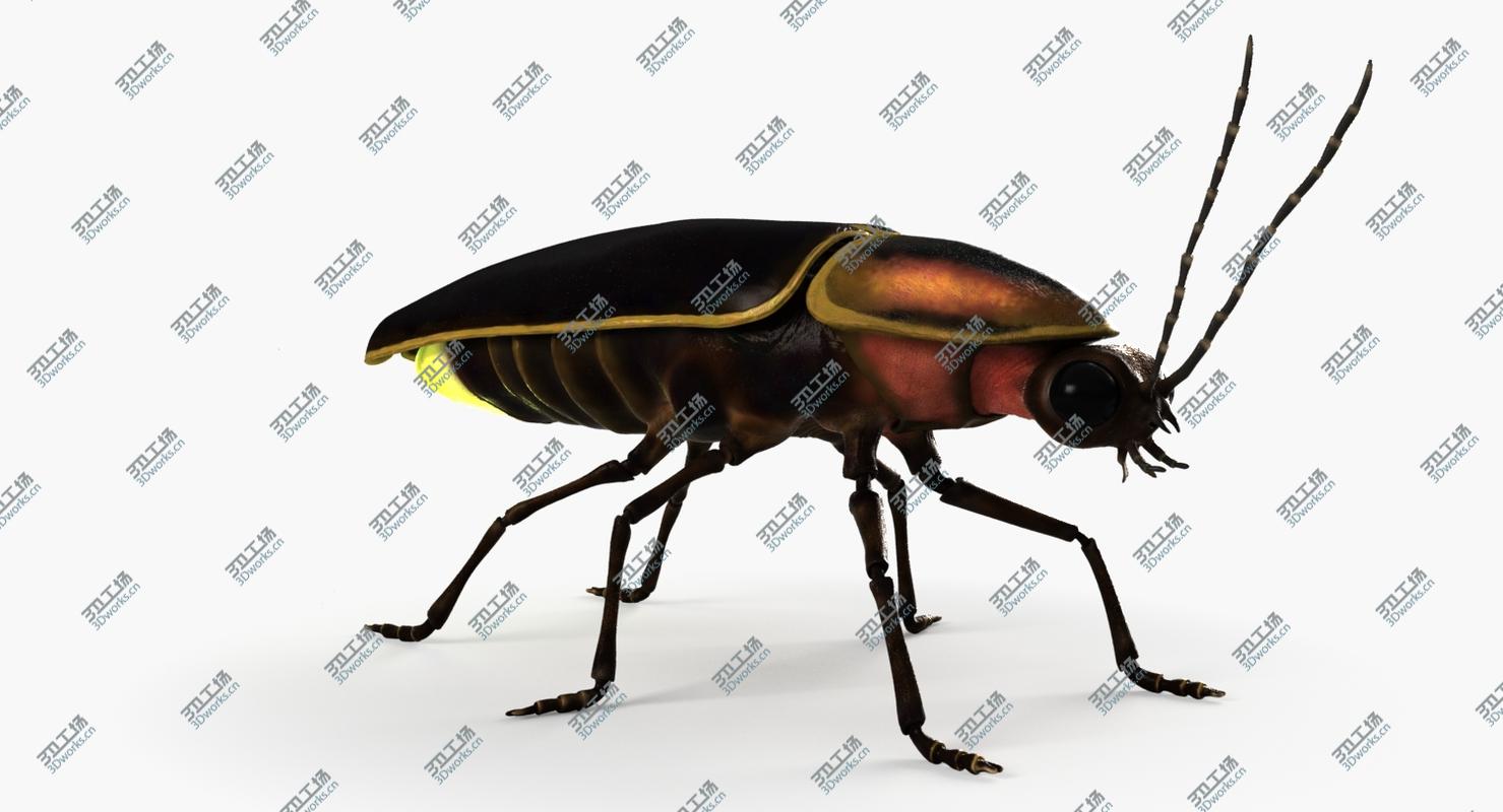 images/goods_img/20210319/3D model Firefly/4.jpg